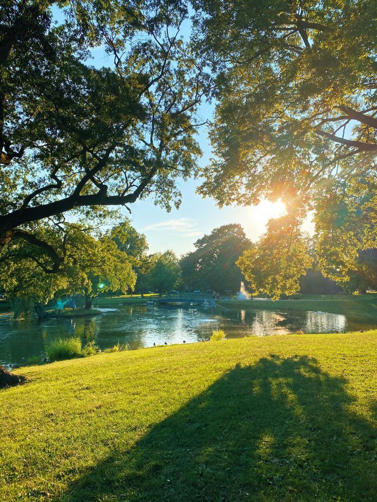 Rozległy park krajobrazowy o zachodzie słońca – trawnik ekstensywny nad stawem